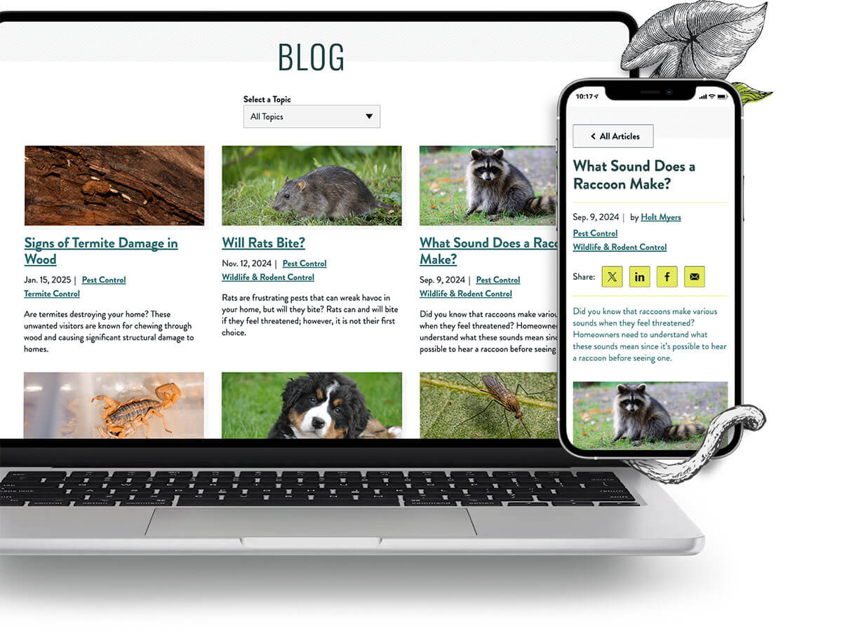 A laptop and phone showing the blog overview and post subpage